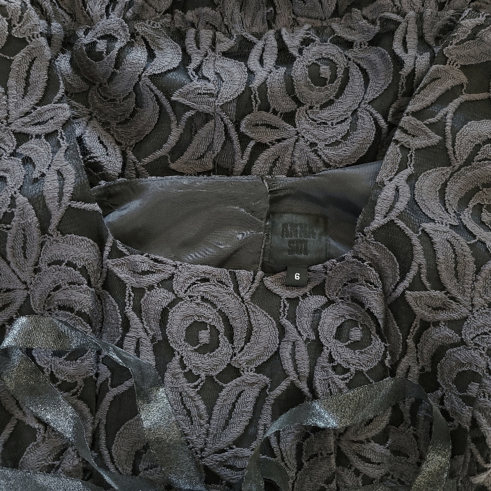 RARE Anna Sui Dark Floral Grey Lace Wild Roses Witchycore Babydoll Dress - Picture 3 of 15
